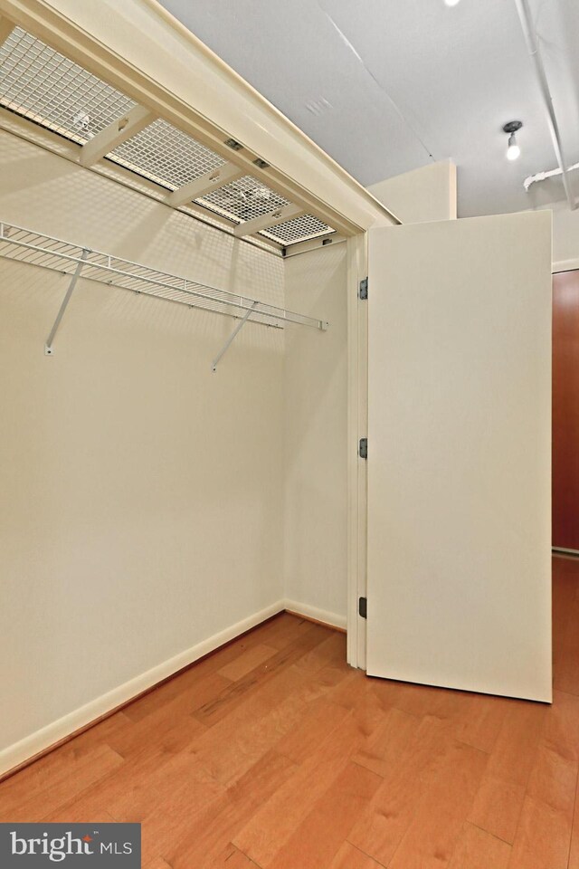 walk in closet featuring wood-type flooring