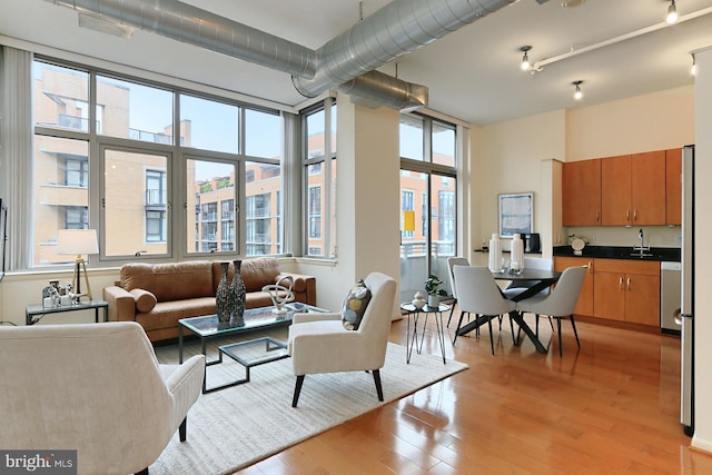 living room featuring sink, light hardwood / wood-style flooring, and track lighting