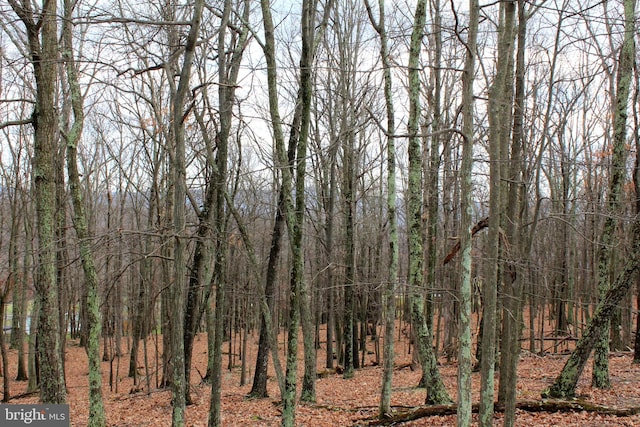 LOT39 Berenger Dr, Petersburg WV, 26847 land for sale