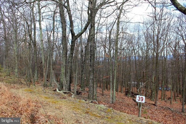 Listing photo 3 for LOT39 Berenger Dr, Petersburg WV 26847