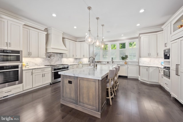 kitchen featuring backsplash, custom exhaust hood, stainless steel appliances, and dark hardwood / wood-style floors