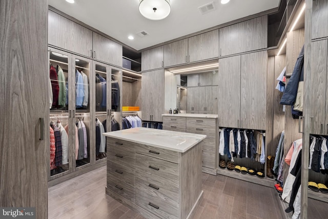 spacious closet featuring light hardwood / wood-style flooring