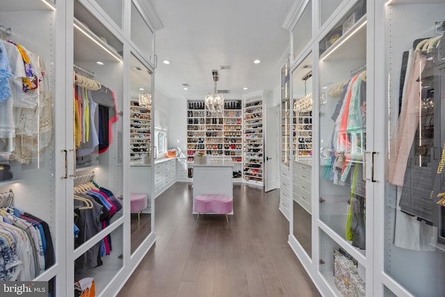 walk in closet with dark hardwood / wood-style flooring and an inviting chandelier