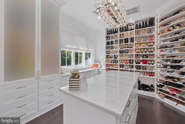 spacious closet with dark hardwood / wood-style floors