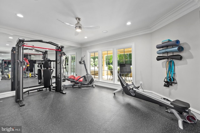 exercise room featuring ceiling fan and crown molding