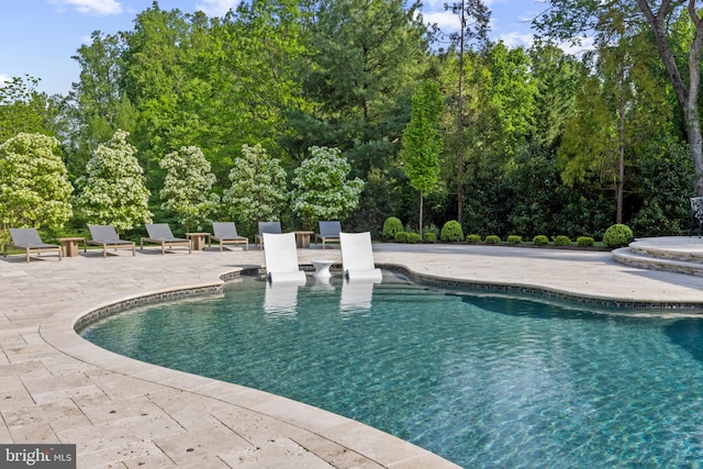 view of swimming pool with a patio area