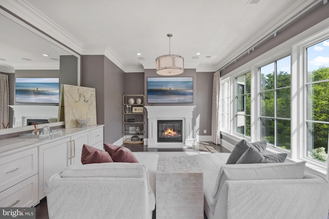 living room with dark wood-type flooring and ornamental molding