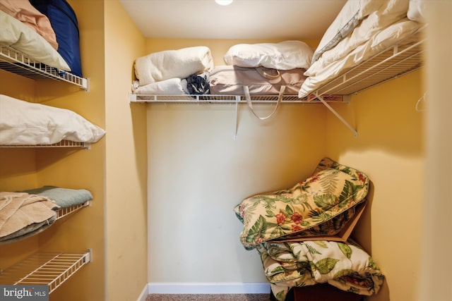 spacious closet featuring carpet floors