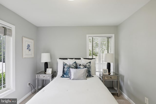 bedroom featuring multiple windows and carpet