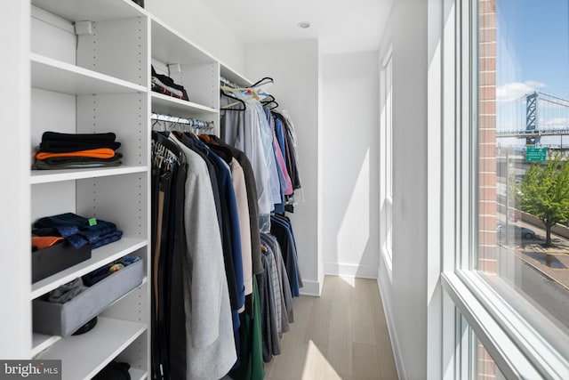 spacious closet featuring light hardwood / wood-style flooring