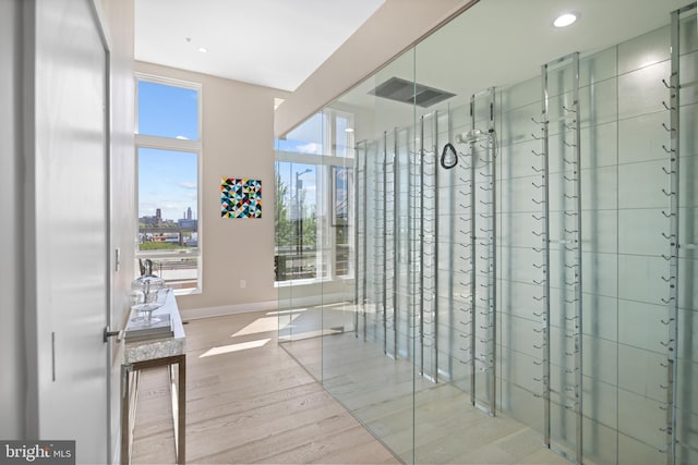 bathroom featuring hardwood / wood-style floors