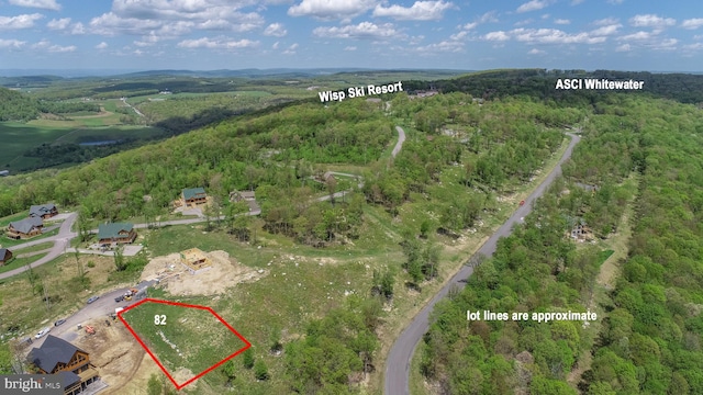 82 Summer Camp Ln, Mc Henry, MD 21541