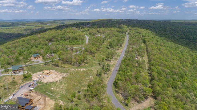 82 Summer Camp Ln, Mc Henry, MD 21541