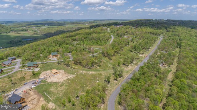 82 Summer Camp Ln, Mc Henry, MD 21541