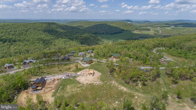 82 Summer Camp Ln, Mc Henry, MD 21541