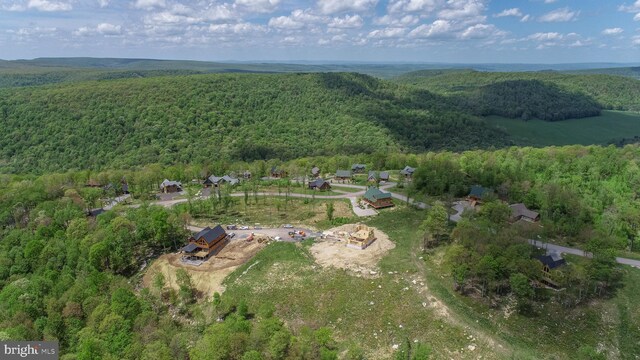 82 Summer Camp Ln, Mc Henry, MD 21541