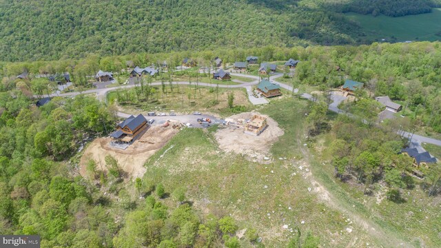 82 Summer Camp Ln, Mc Henry, MD 21541
