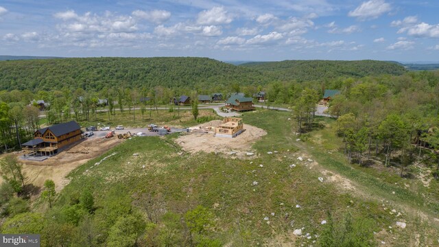 82 Summer Camp Ln, Mc Henry, MD 21541