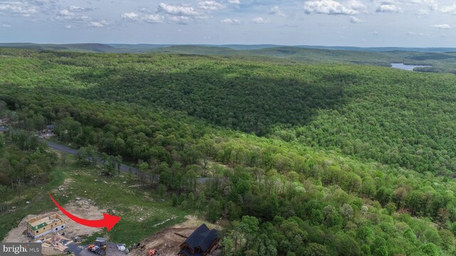 82 Summer Camp Ln, Mc Henry, MD 21541