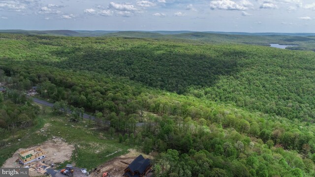 82 Summer Camp Ln, Mc Henry, MD 21541
