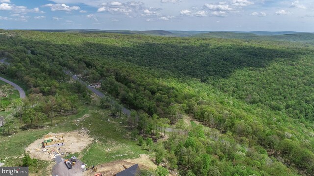 82 Summer Camp Ln, Mc Henry, MD 21541