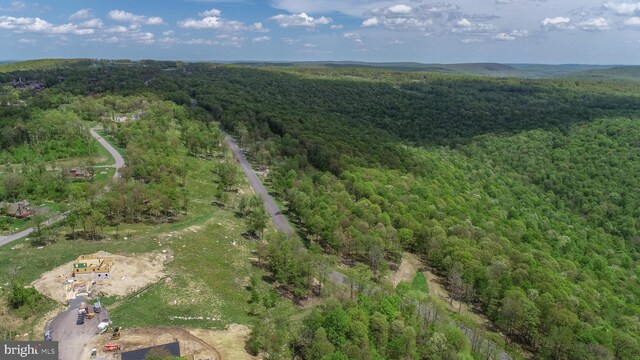 82 Summer Camp Ln, Mc Henry, MD 21541
