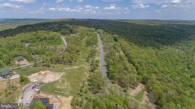 82 Summer Camp Ln, Mc Henry, MD 21541
