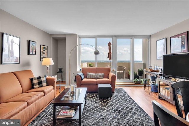 living room with wood-type flooring