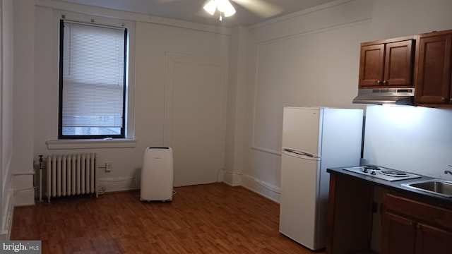 kitchen featuring radiator, ceiling fan, sink, dark wood-type flooring, and white appliances