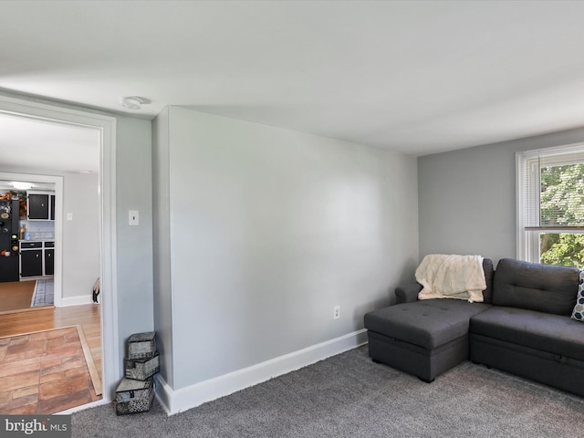 sitting room featuring carpet floors