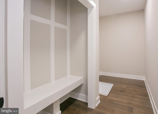 mudroom featuring dark hardwood / wood-style flooring