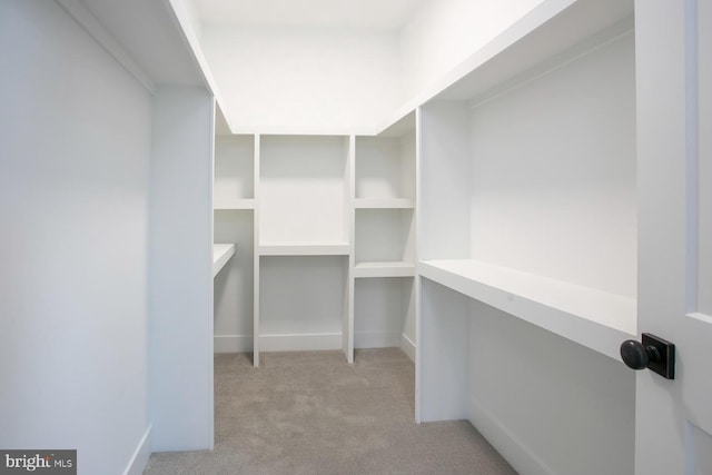 spacious closet featuring light colored carpet