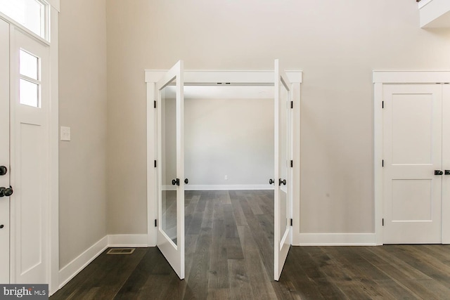 foyer entrance featuring dark wood-type flooring