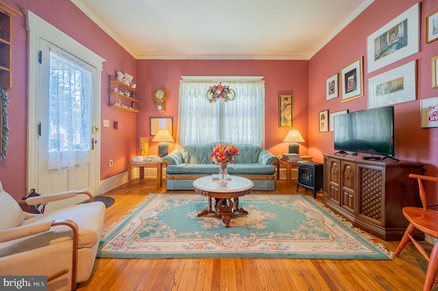 living room featuring hardwood / wood-style floors and ornamental molding