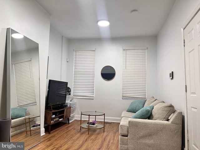 living room featuring hardwood / wood-style floors