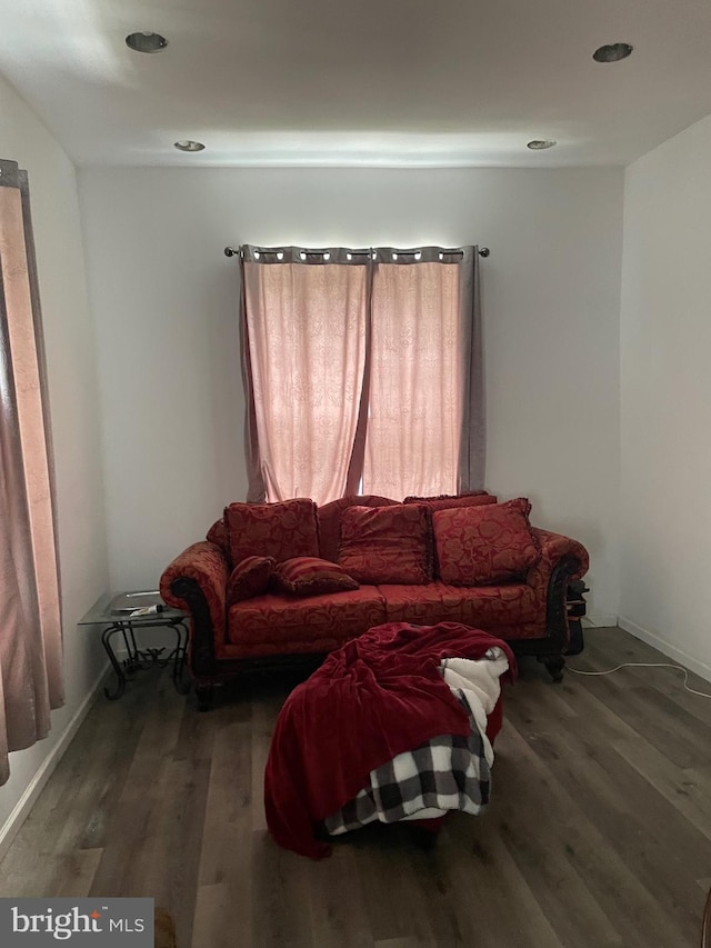 living room featuring hardwood / wood-style flooring