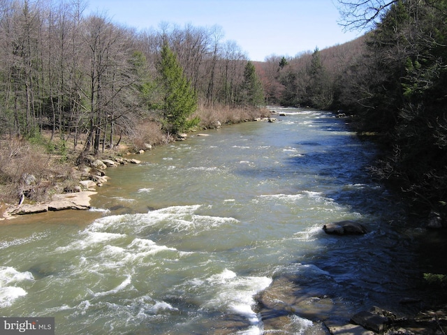 view of water feature