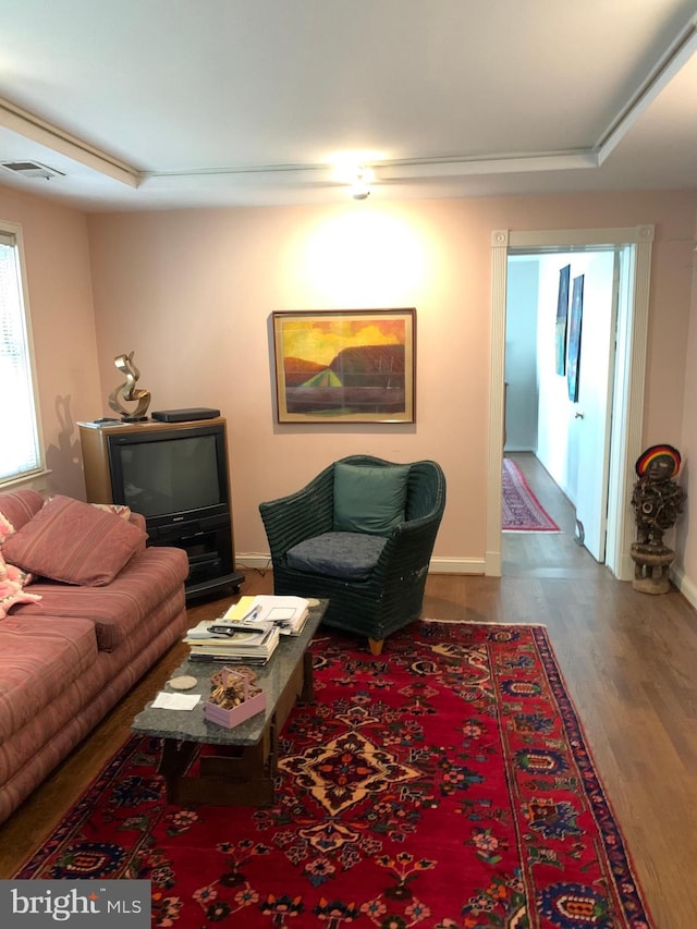 living room featuring dark wood-type flooring and a raised ceiling