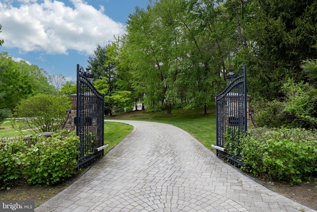 view of gate with a yard