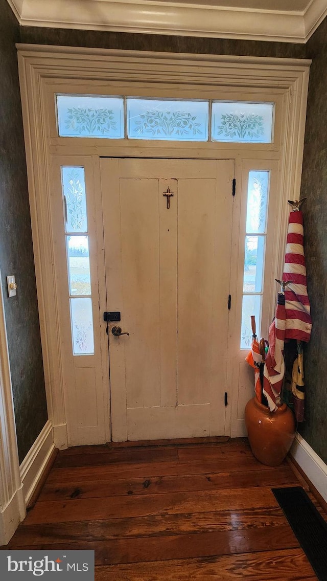 foyer entrance with dark hardwood / wood-style floors