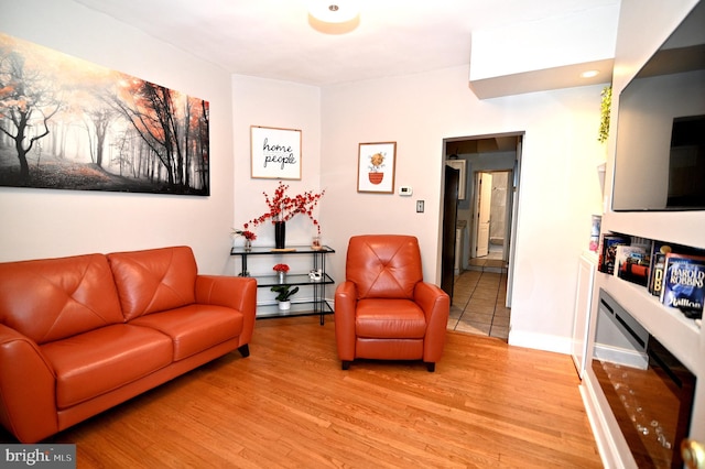 living room featuring light hardwood / wood-style floors