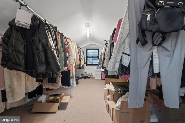 walk in closet with lofted ceiling and carpet