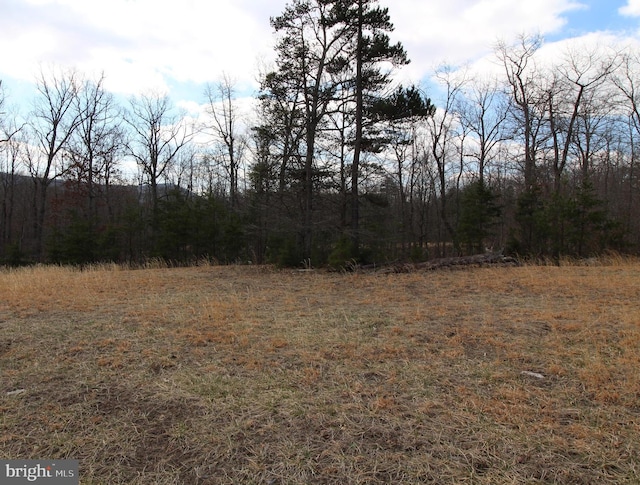 0 Zion Psge, Fort Valley VA, 22652 land for sale