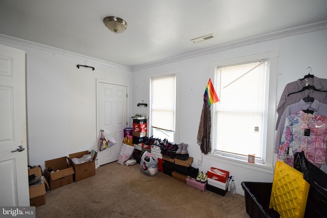 recreation room featuring carpet flooring and ornamental molding