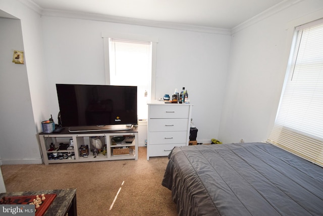 carpeted bedroom with crown molding