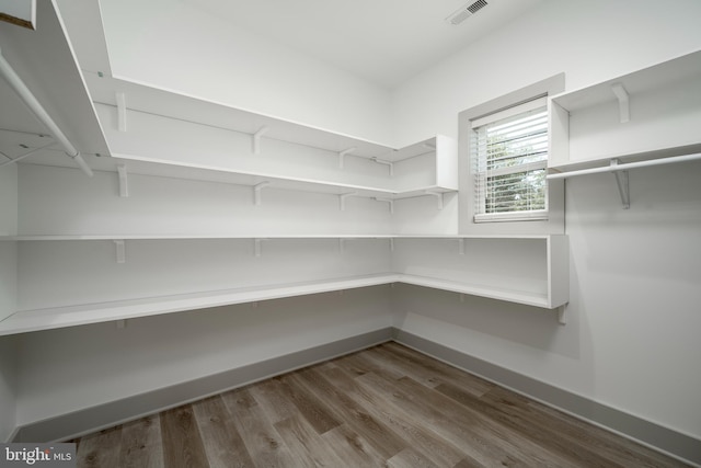 walk in closet featuring dark wood-type flooring