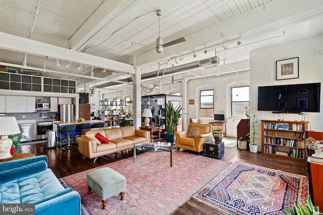 living room with ceiling fan, wood-type flooring, and track lighting