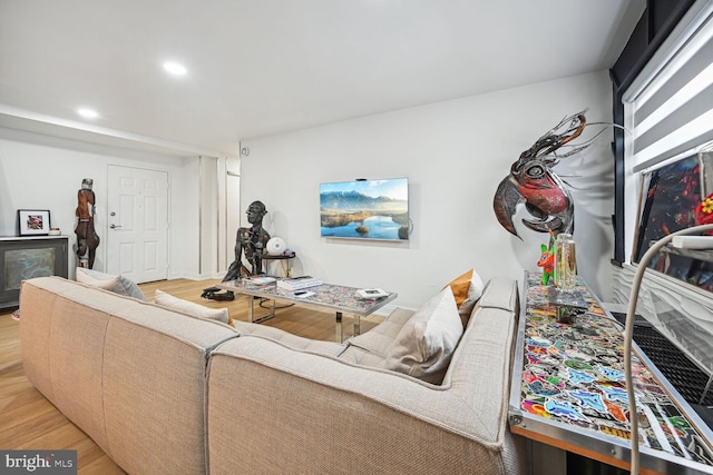 living room with wood-type flooring