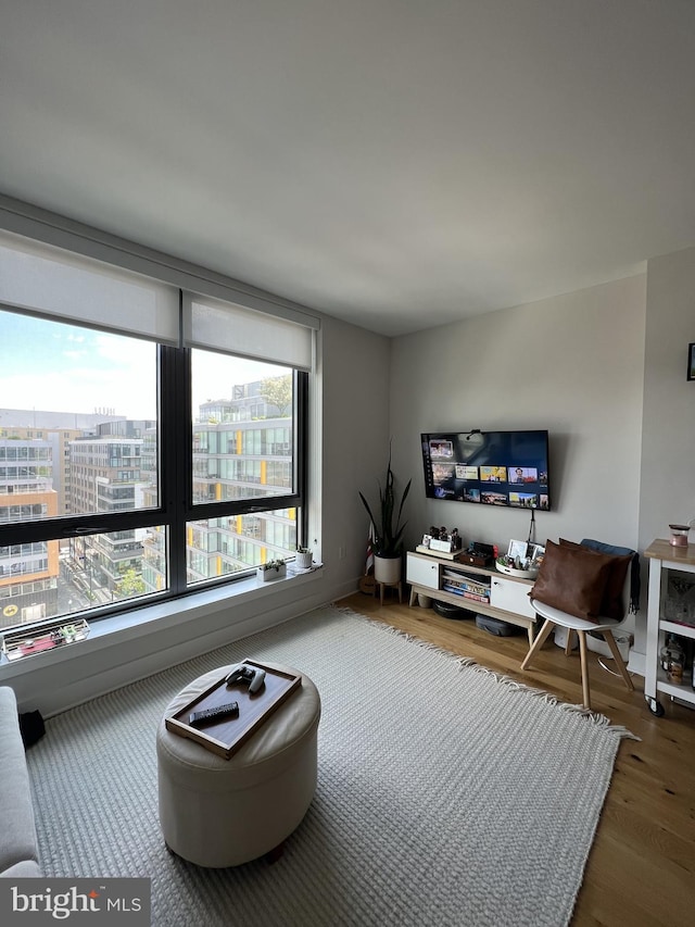 living room featuring hardwood / wood-style floors