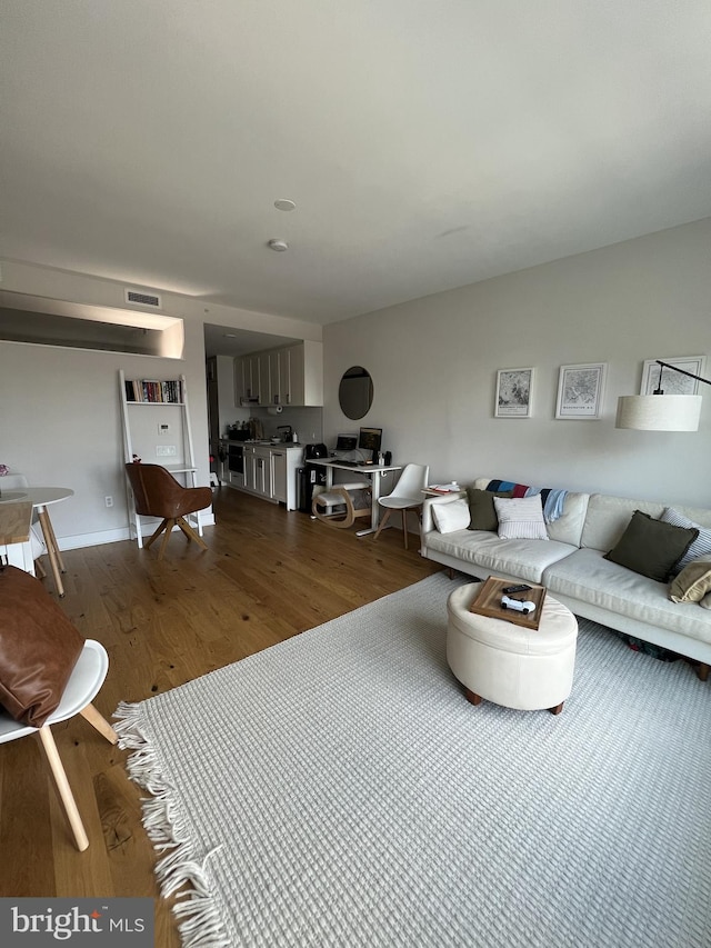 living room featuring wood-type flooring